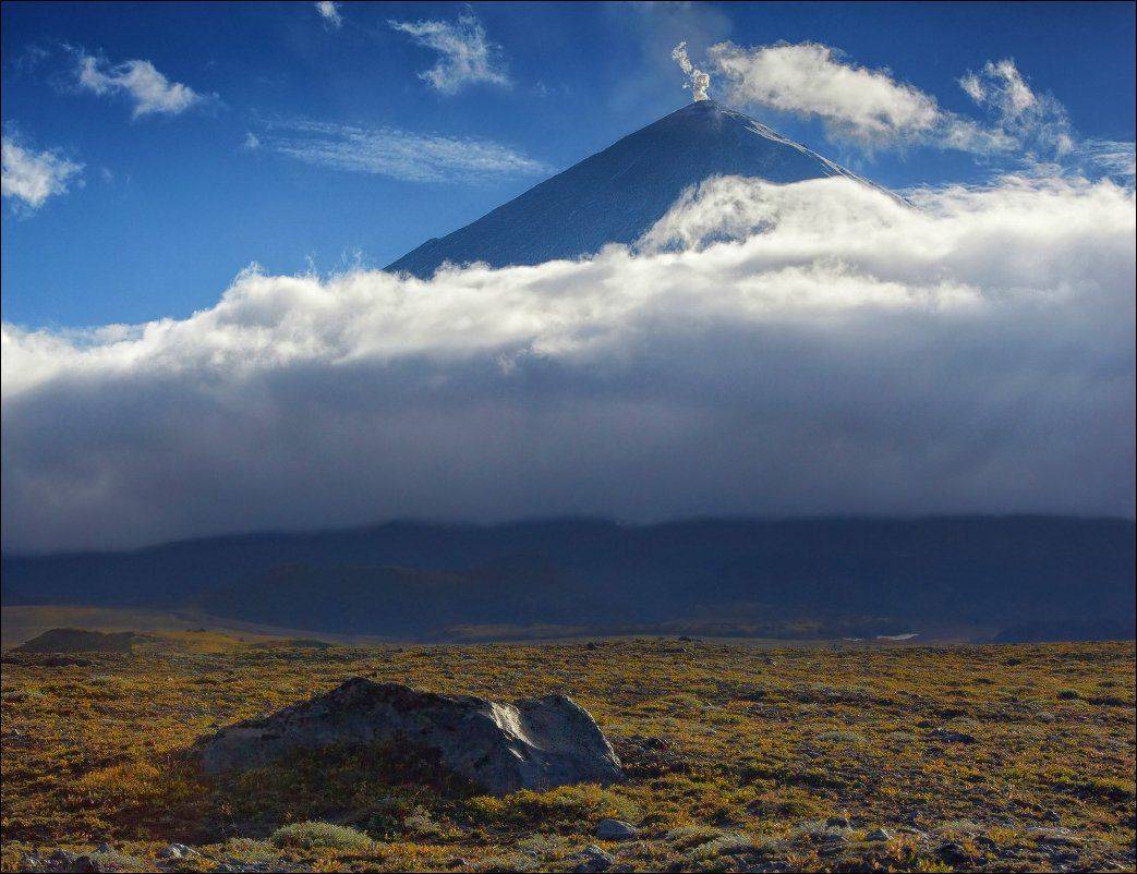 , Вадим Никифоров