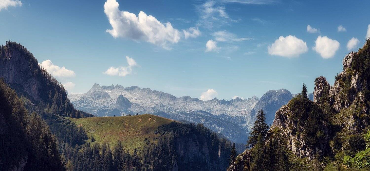 , Игорь Мелекесцев