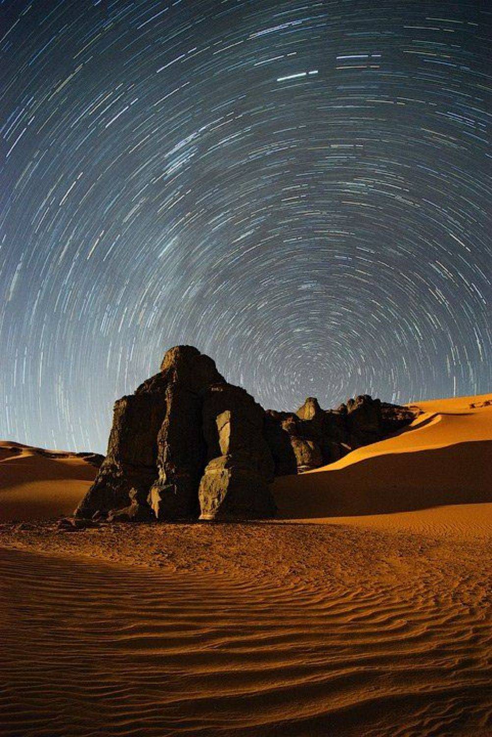 , Алексей Харитонов