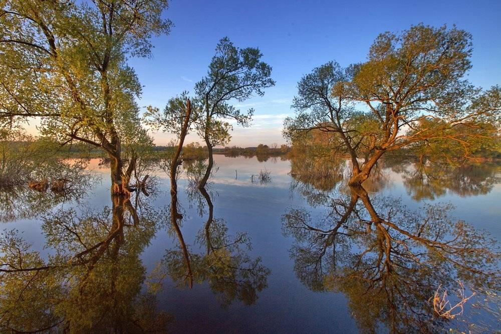 , Валерий Кондратов