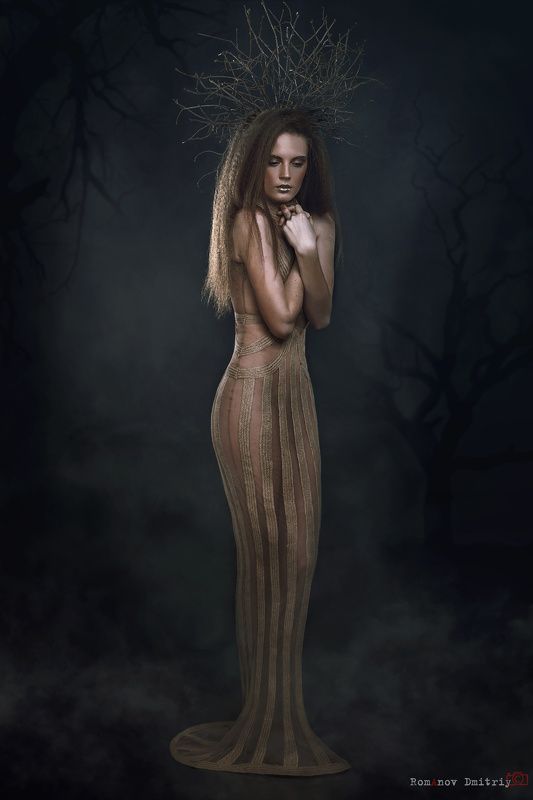 Forest Mistery фото превью