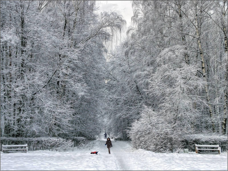 В парке фото превью
