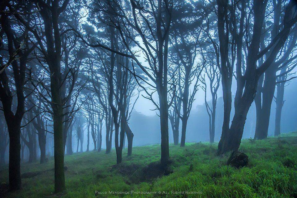 , Paulo Mendon&ccedil;a