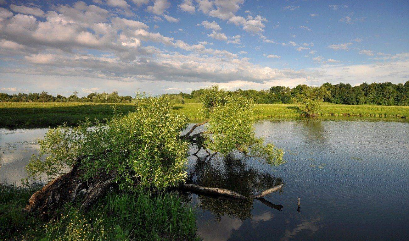 , Володимир Карчевський