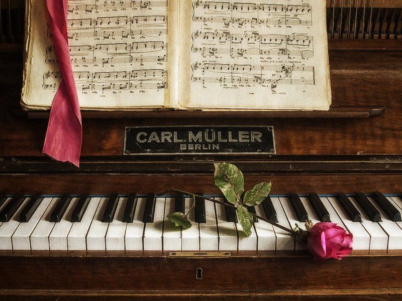 С последней розой фото превью