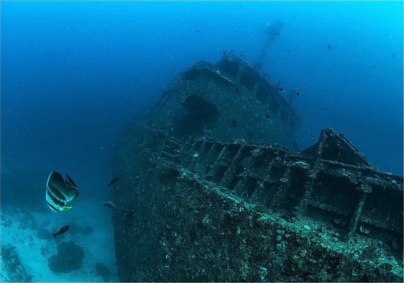 индийсикй океан,, корабль, дайвинг, Сергей Гаспарян