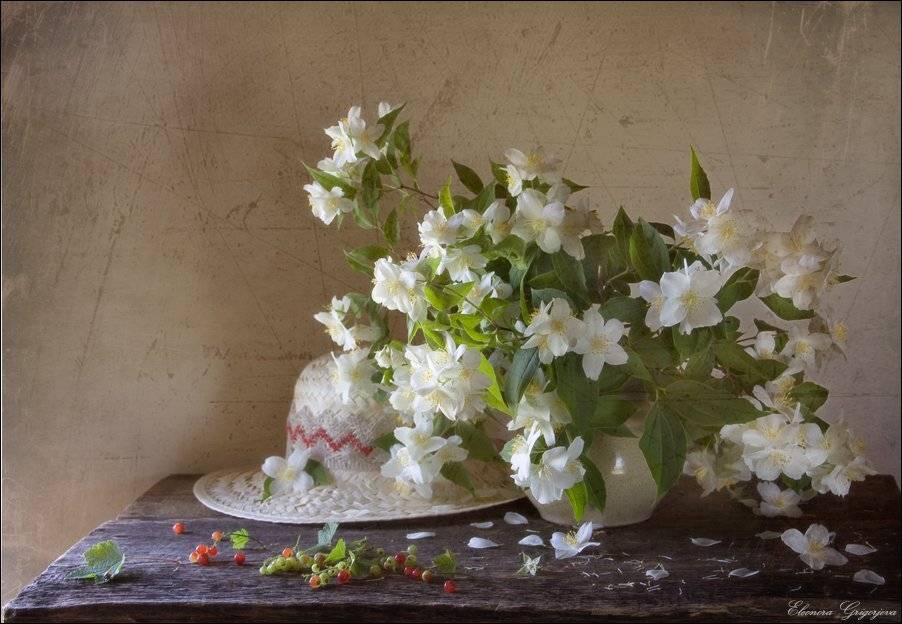 , Eleonora Grigorjeva