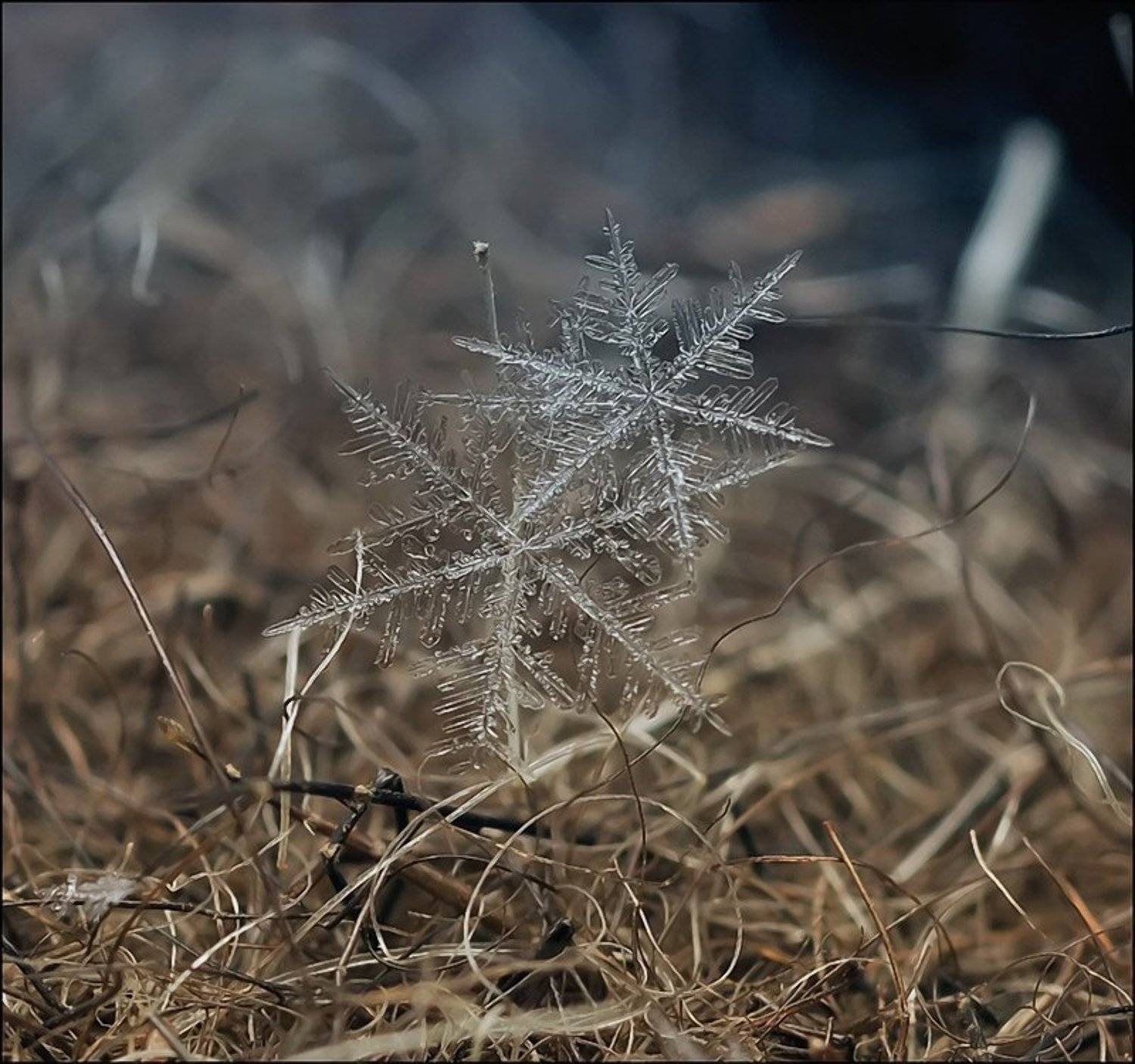 , Андрей Осокин