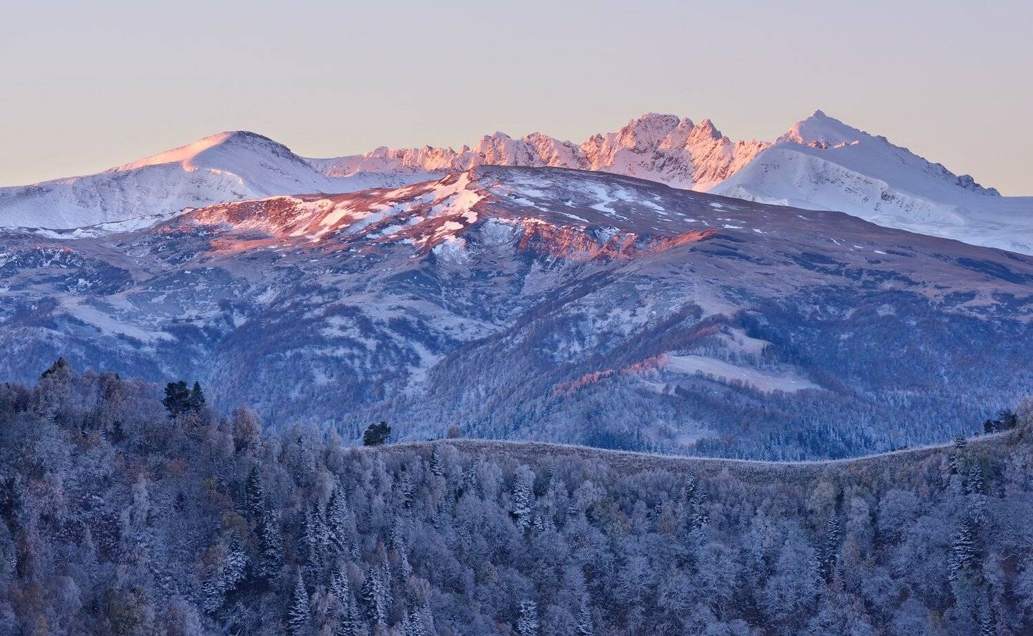 , Максим Евдокимов