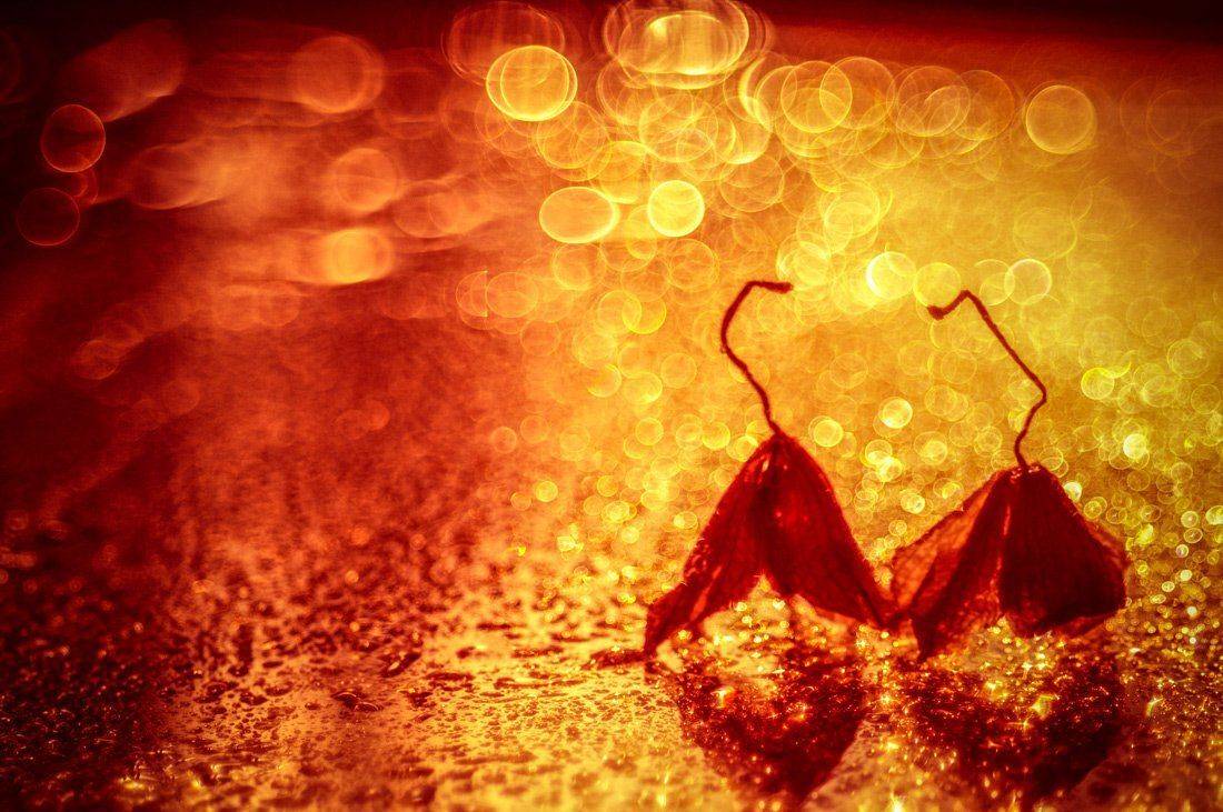 , Татьяна Аверина