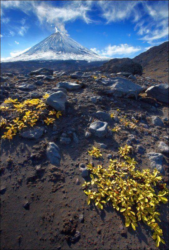 , Вадим Никифоров