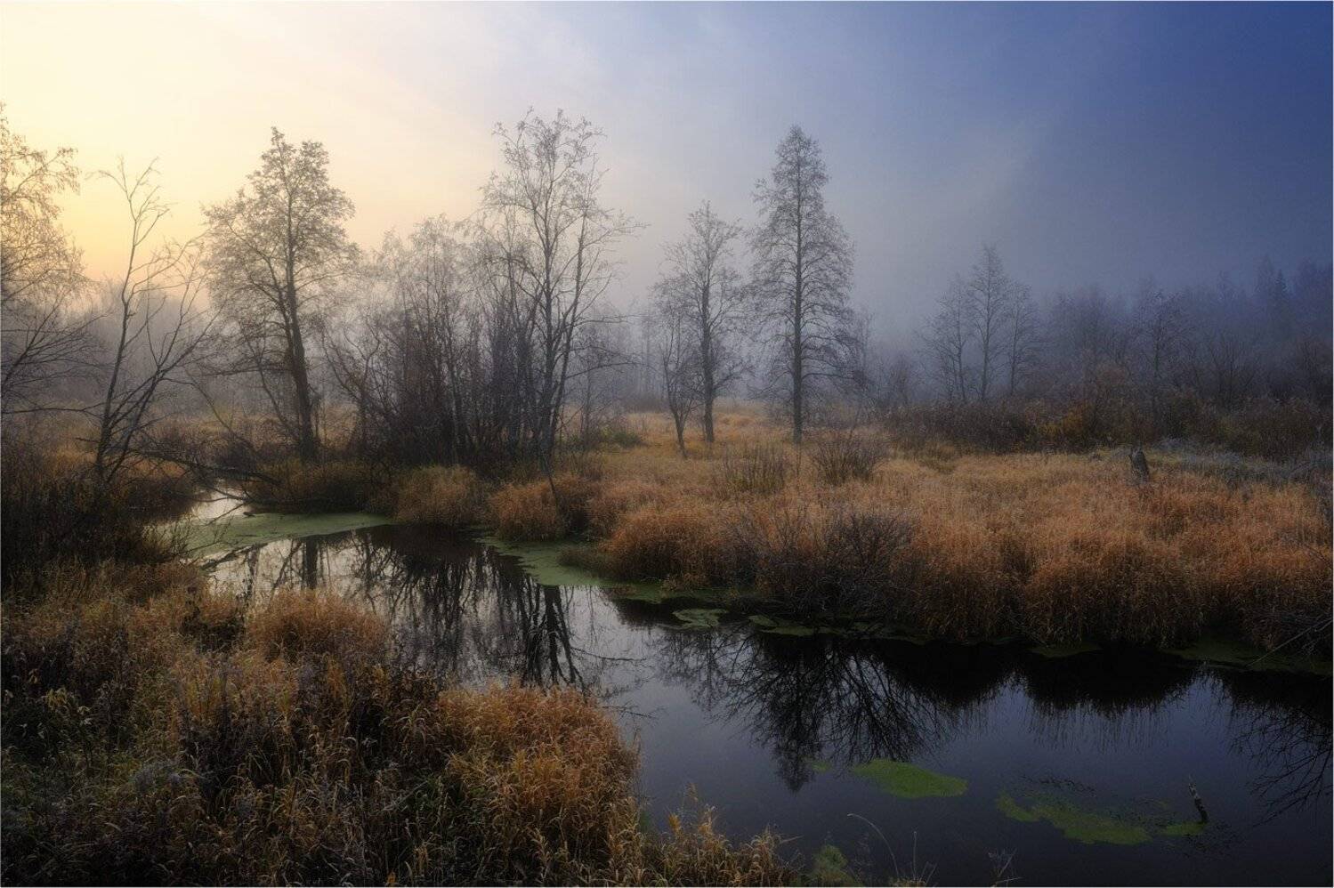 , Анатолий Гулин