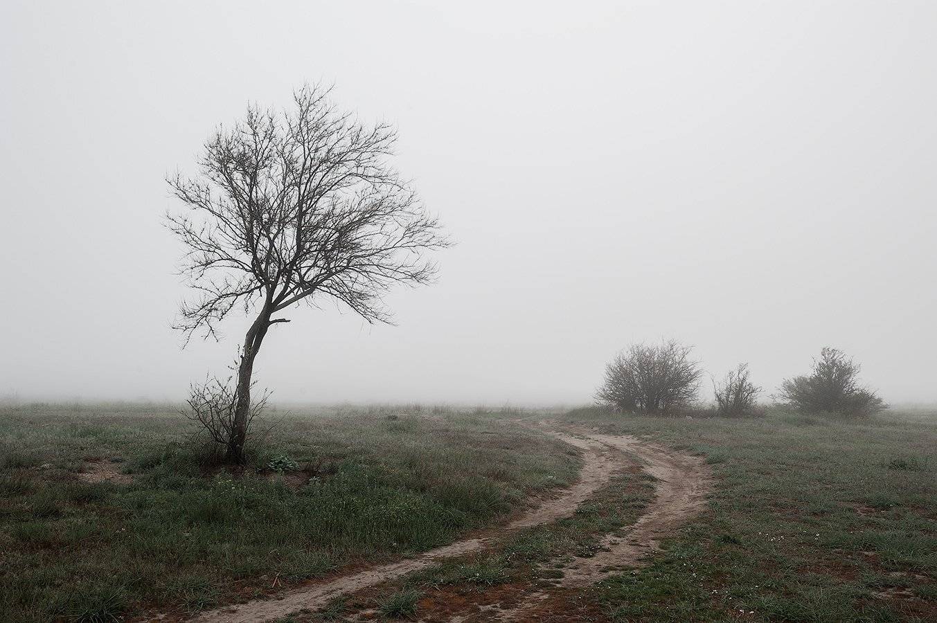 , Олег Логунов