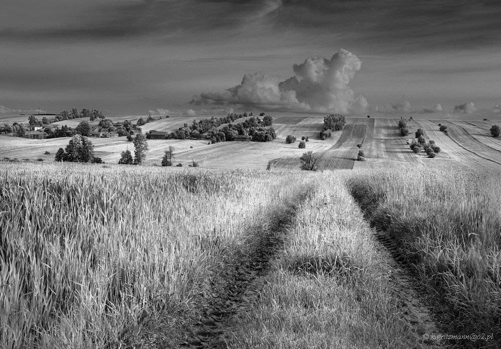 , Katarzyna Gritzmann