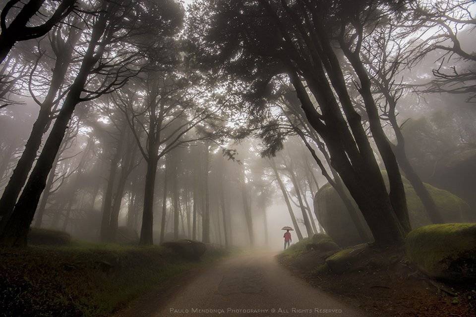 , Paulo Mendon&ccedil;a