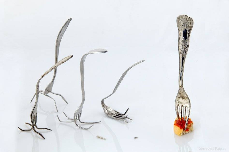 Вилици, Класа, Лютеница, Победа, Поражение, Хляб, Храна, Svetoslav Radkov