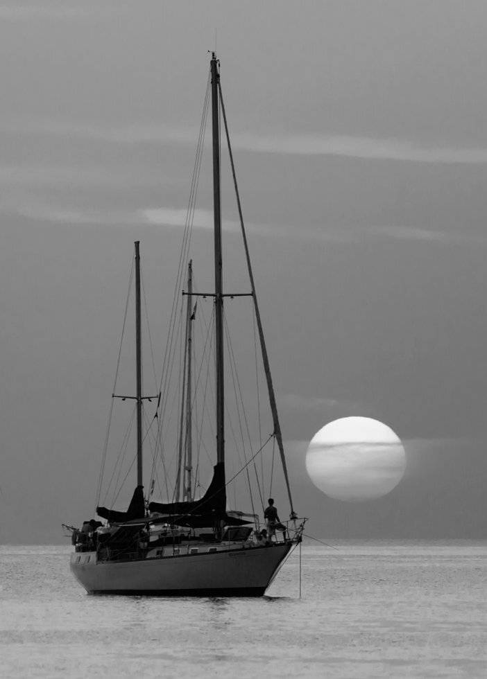 , Людмила Прокофьева