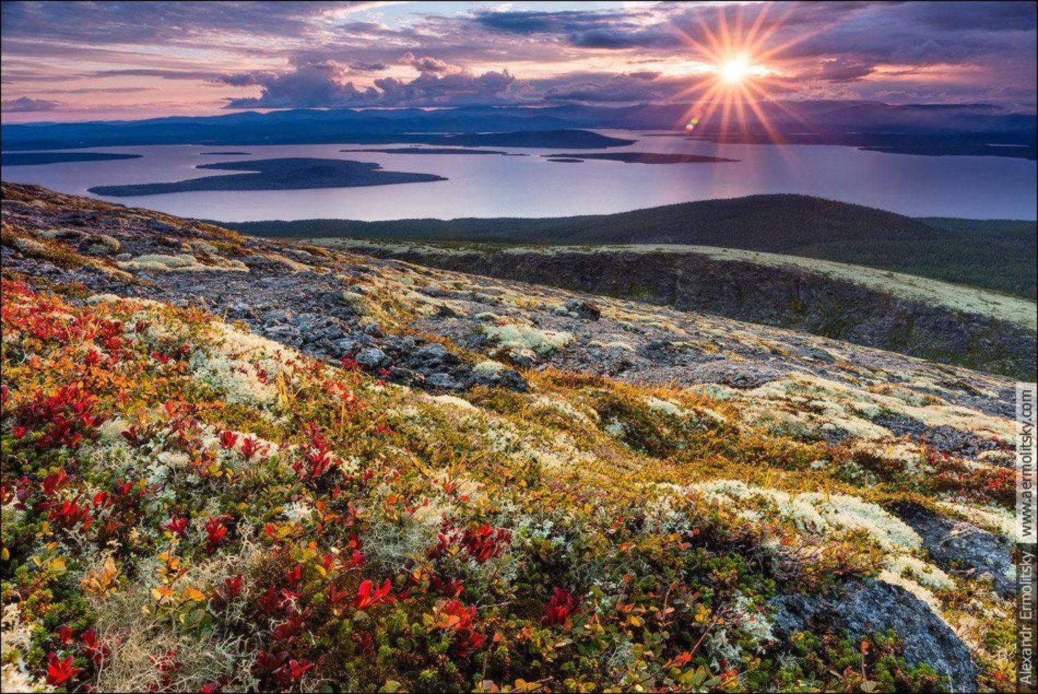 , Александр Ермолицкий