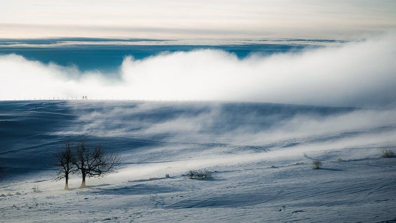 IN THE CLOUD фото превью