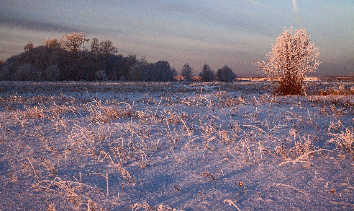 , Николай Морский