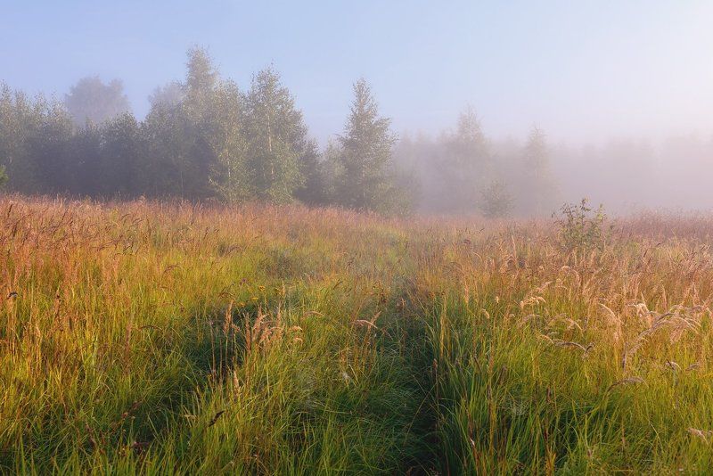 *** фото превью