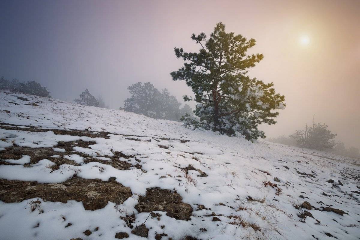 , Денис Сорокин