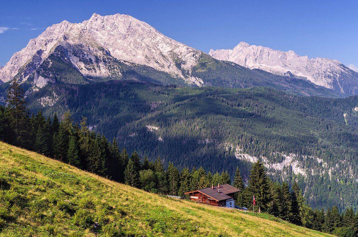 , Игорь Мелекесцев