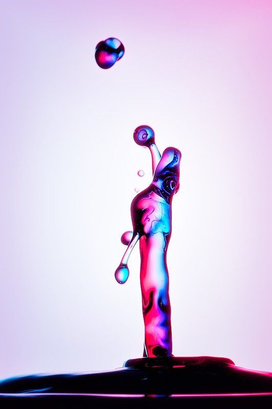 Lizard фото превью