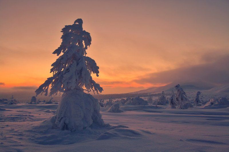 Она ступала смело и уверенно... фото превью