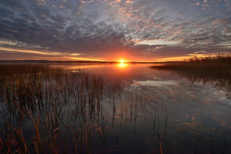 вашутино *** фото превью