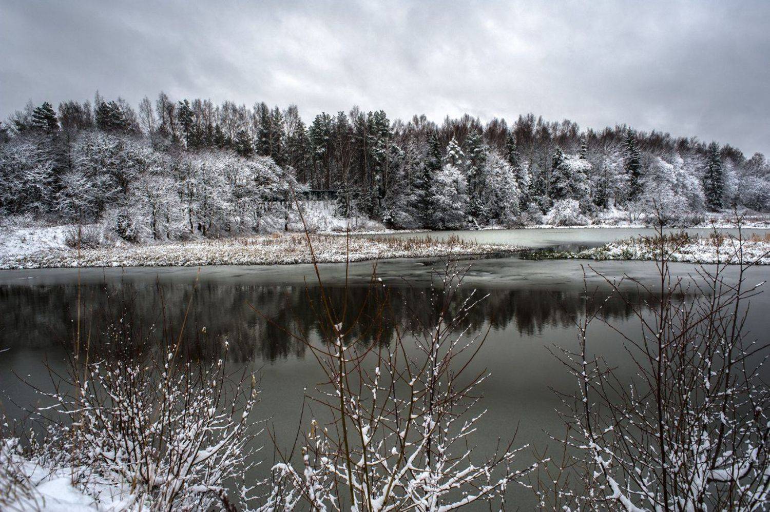 , Евгений Цветков