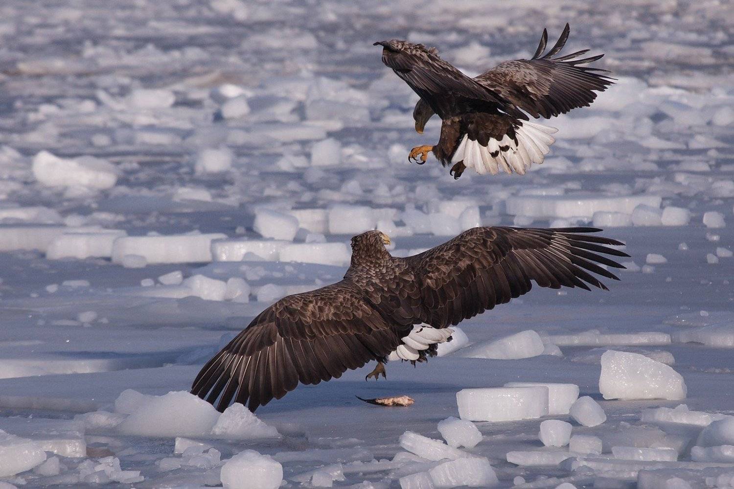 , Евгений Слободской