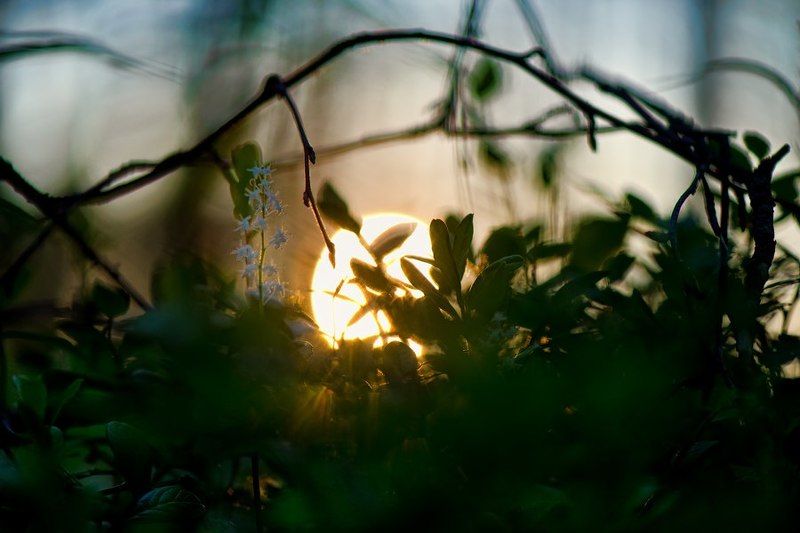 Миллионы медленных линий фото превью