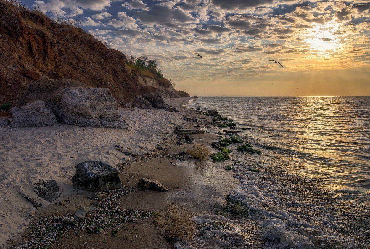 , Игорь Мелекесцев