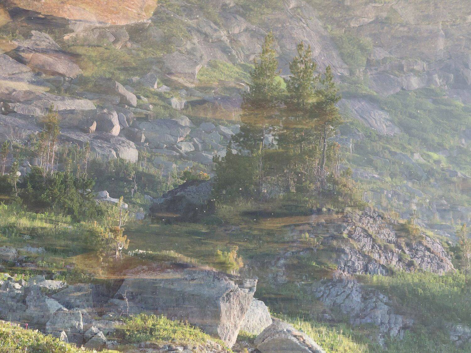 , Лещёнок Александр