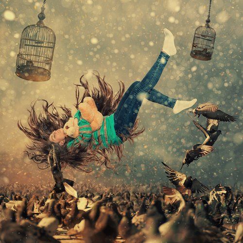 Freefall dreamer