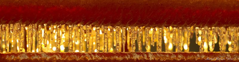 Rhythms of light фото превью