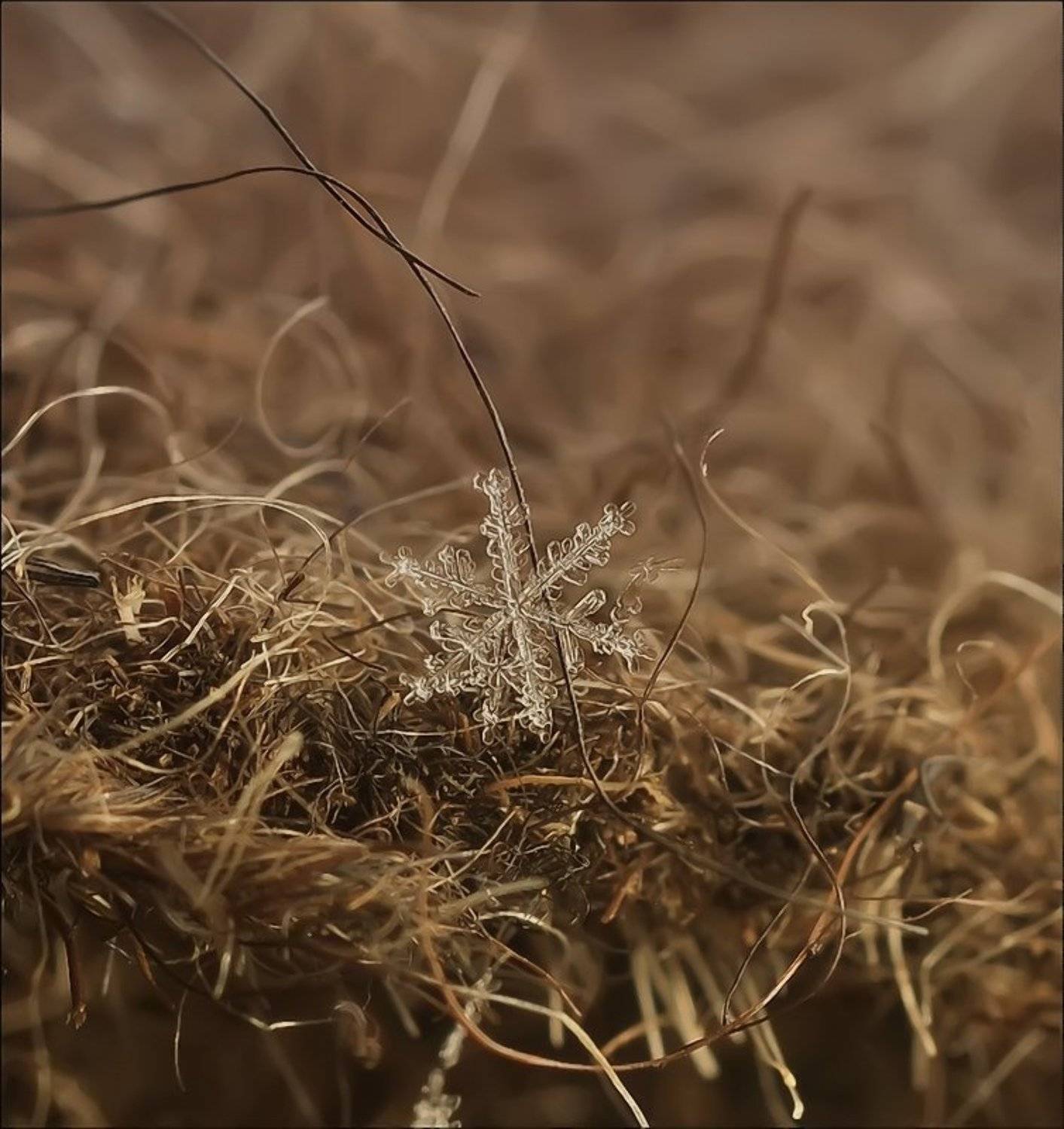 , Андрей Осокин