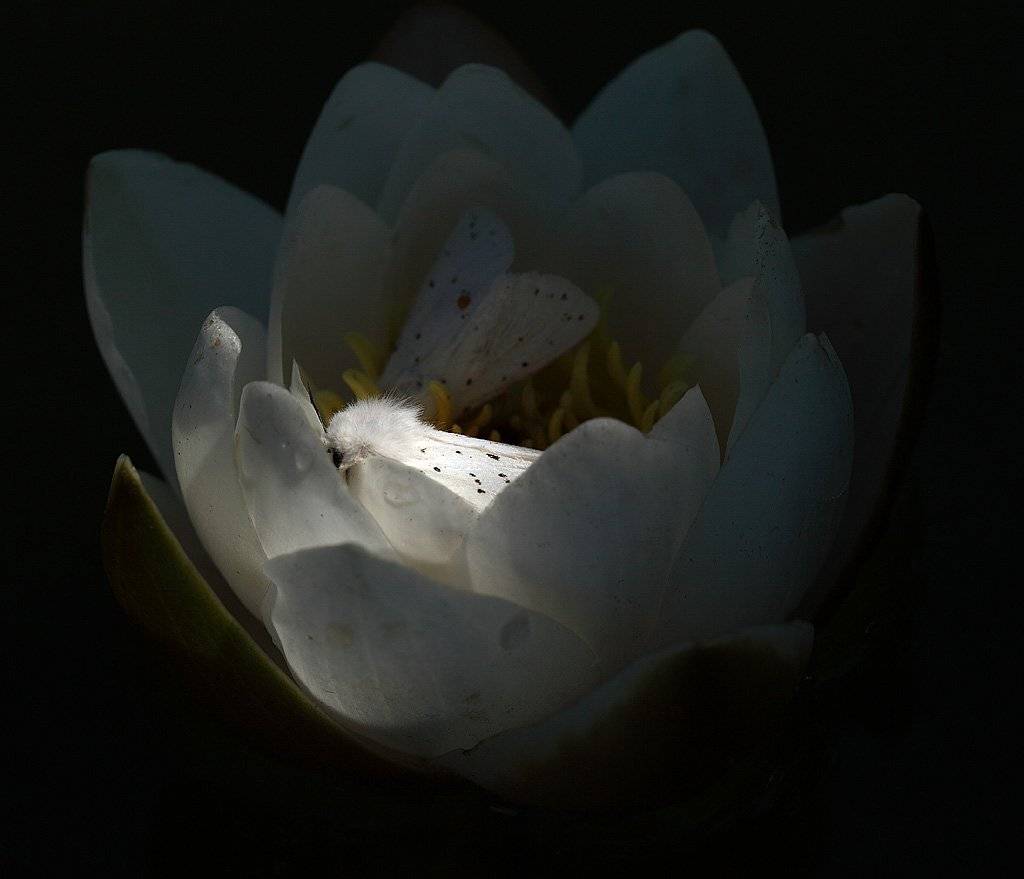 , Сергей Таланов