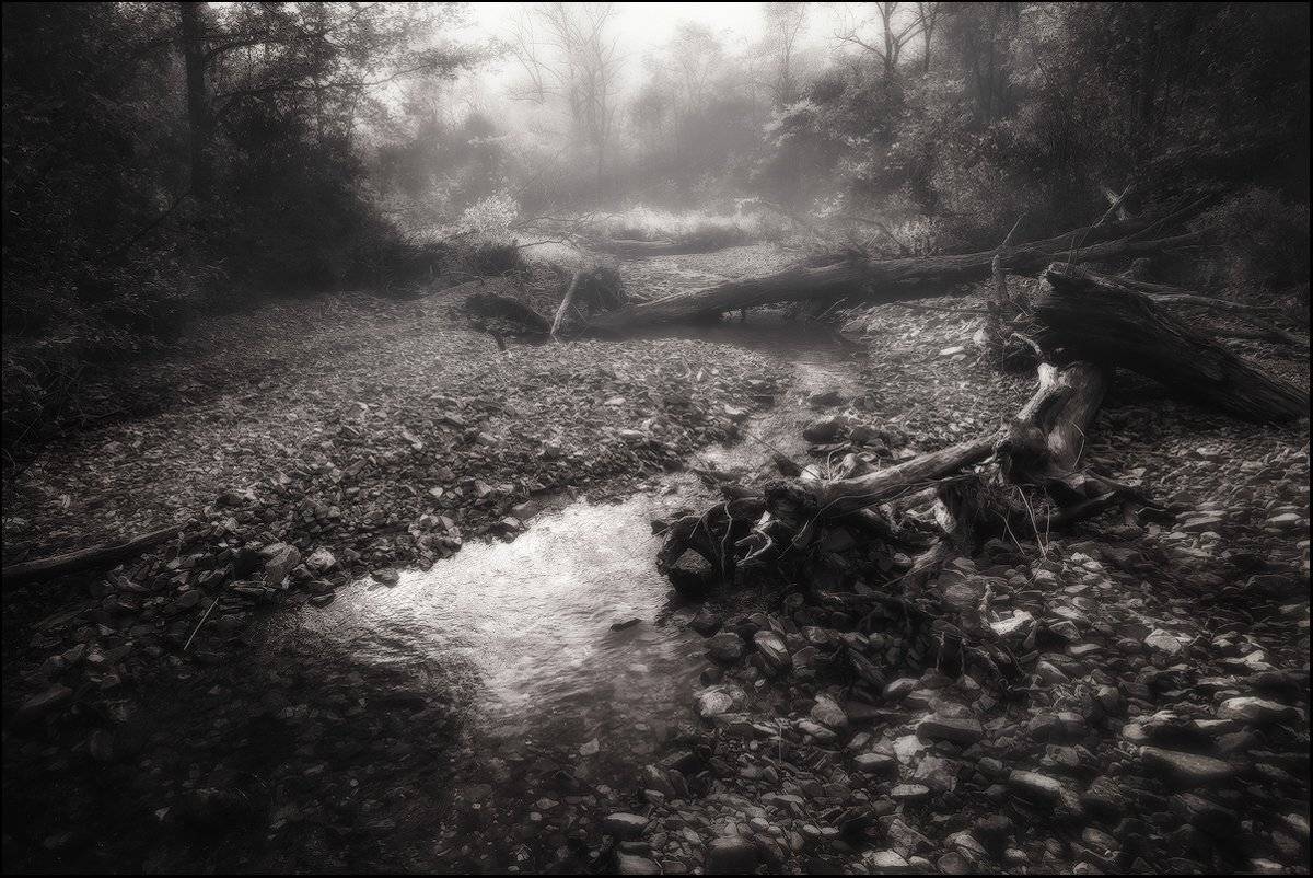 , Андрей Кровлин