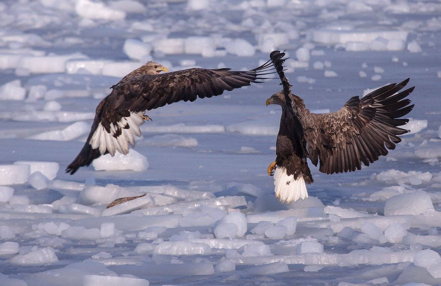 , Евгений Слободской