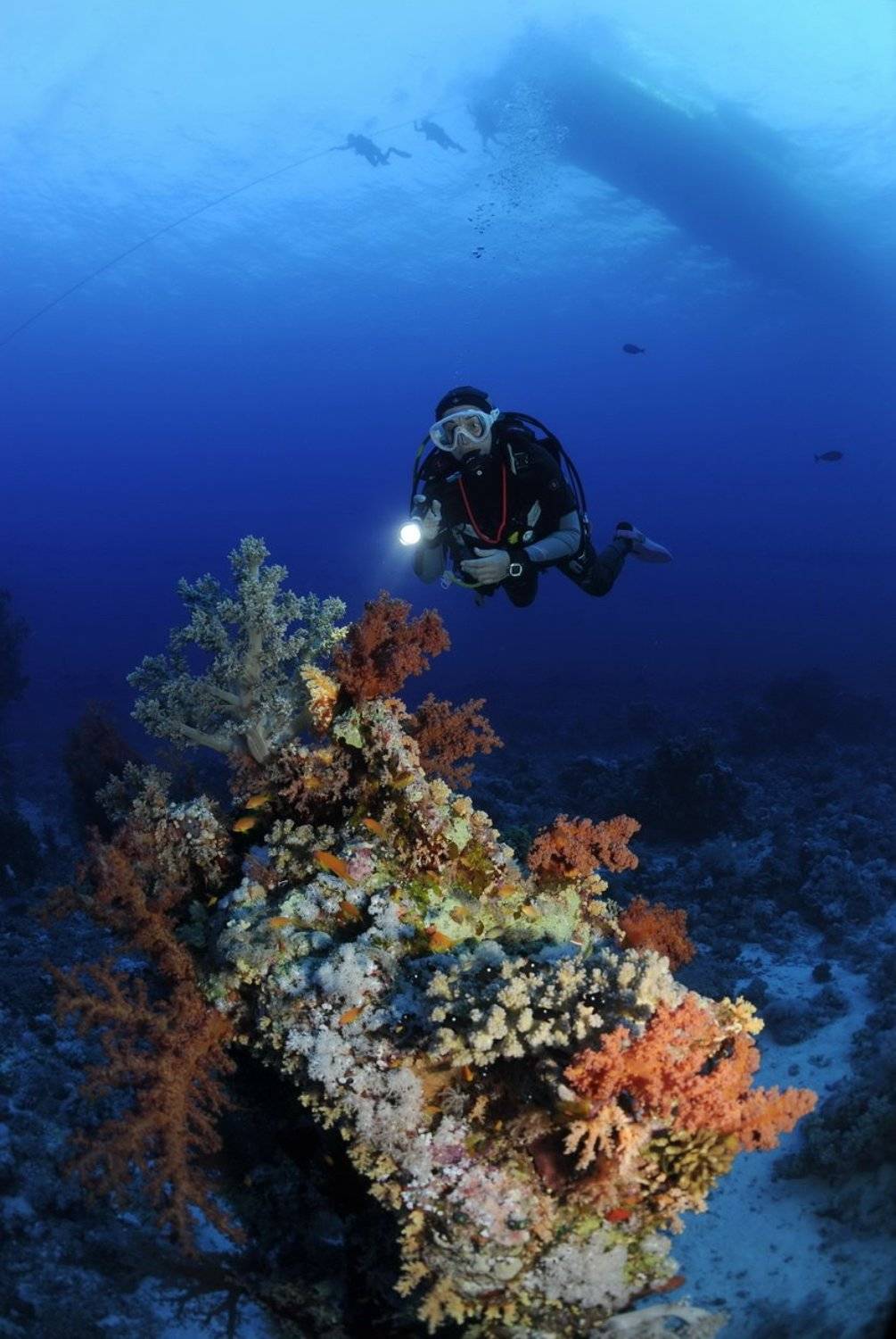 , Сергей Шевчук