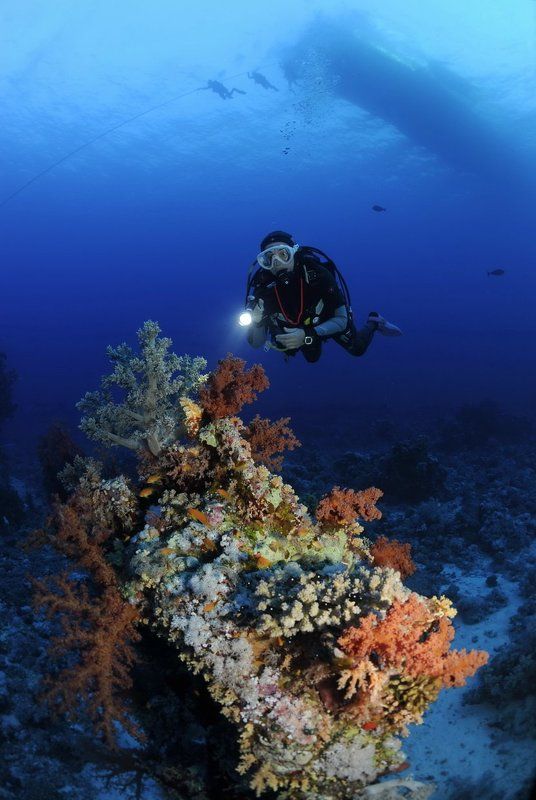 Погружение. фото превью