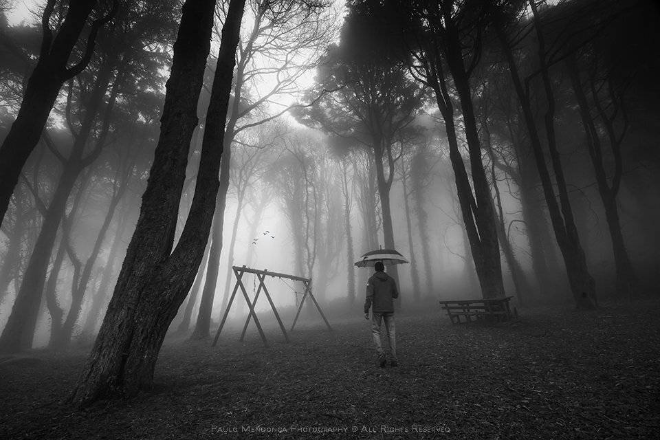 , Paulo Mendon&ccedil;a