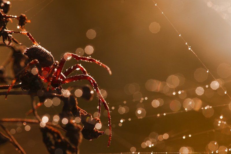 пора на охоту фото превью