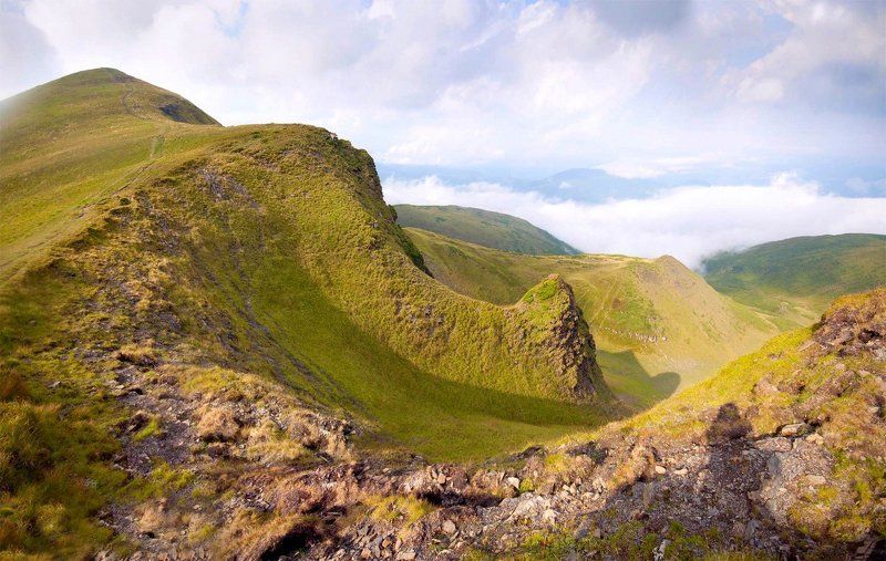 СНИ ВЕЛИКОГО СЛОНА фото превью