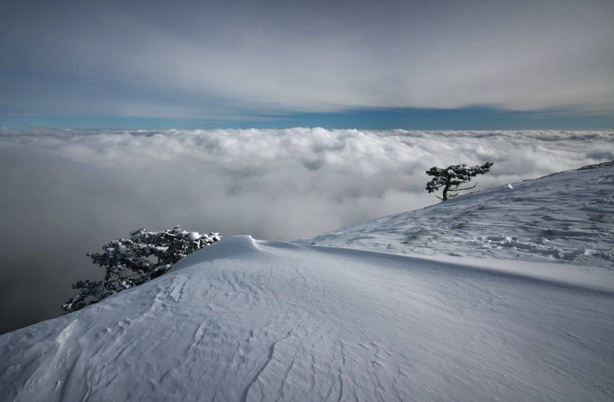 , Петриченко Валерий