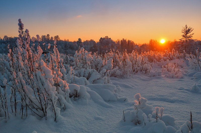 Солнечный багрянец фото превью