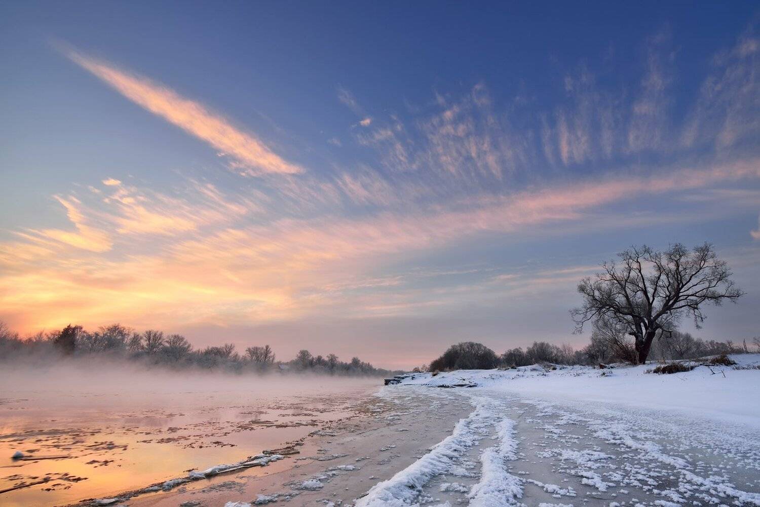 , Максим Евдокимов