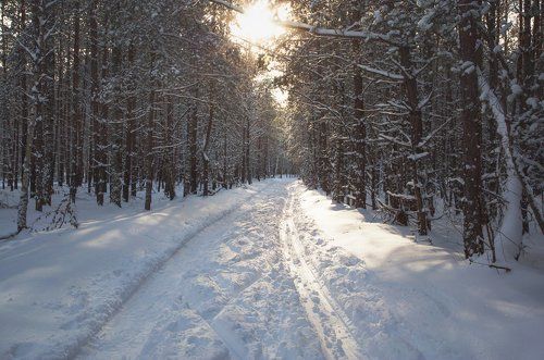 На исходе морозного дня...